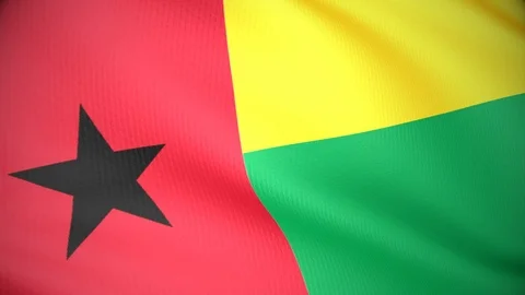 Guinea Bissau Stock-Footage 86390098