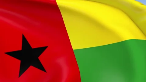 Guinea-Bissau Waving Flag Background Loop Stock Footage 317844707