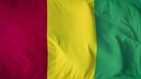 GUINEA COUNTRY FLAG Stock Footage 282359635
