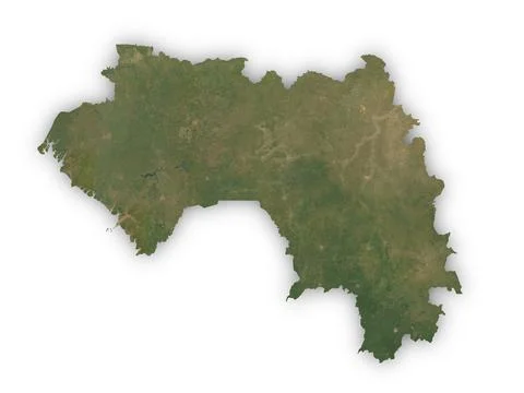 Guinea cut out on white Stock Illustration