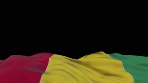 Guinea fabric flag waving on the wind loop. Guinean embroidery stiched cloth  Video stock 194420110