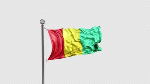Guinea Flag  Animation Loop Include Alpha 3D Rendering Stock-Footage 283084622