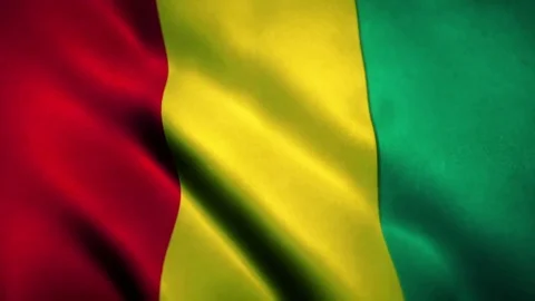 Guinea Flag Blowing in the Wind Video stock 76104417