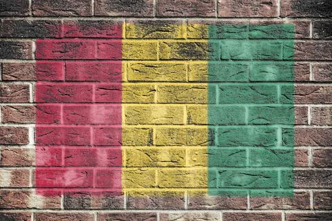 Guinea flag on brick wall background Stock Illustration