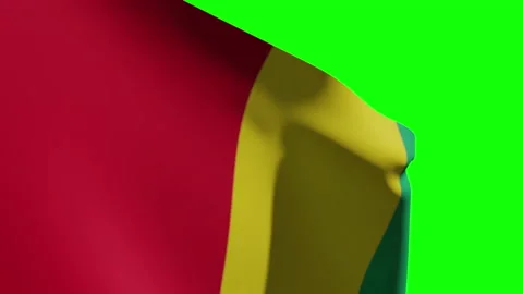 Guinea Flag Close Видео 134852444