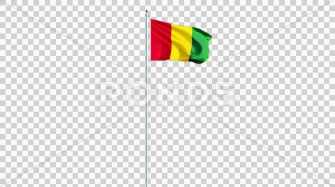 Guinea flag, close up, isolated with alpha channel Stock Photos