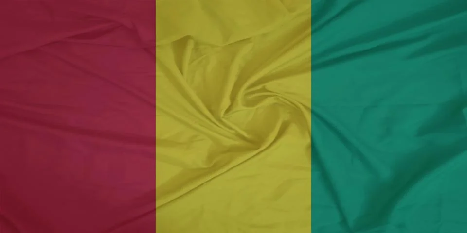 Guinea Flag fabric rippling in the wind Stock Photos