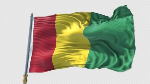 Guinea Flag on a flagpole Waving on Transparent Alpha Background Stock Footage 292122901