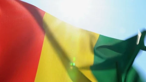 Guinea Flag Flapping Stock Footage 118957295