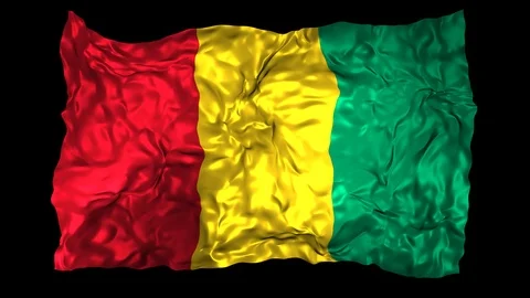 Guinea flag Stock Footage 110810715