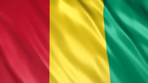 Guinea Flag Stock Footage 123755367