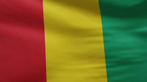 Guinea flag Stock Footage 139019400