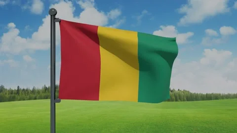 Guinea Flag Stock Footage 152709028
