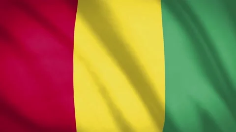Guinea Flag Video stock 188124256