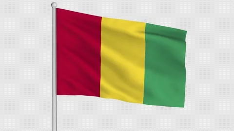 Guinea Flag Stock Footage 226986329