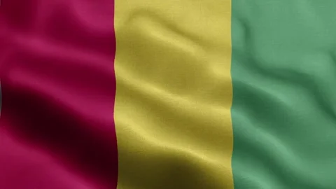 Guinea flag Front Video stock 318665673