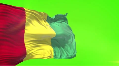 Guinea Flag in Green Screen Stock Footage 328533332