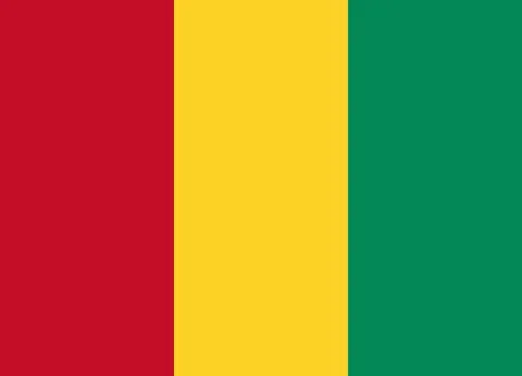 Guinea flag 스톡 일러스트