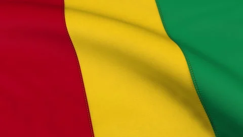 Guinea Flag Loop Stock Footage 241249141