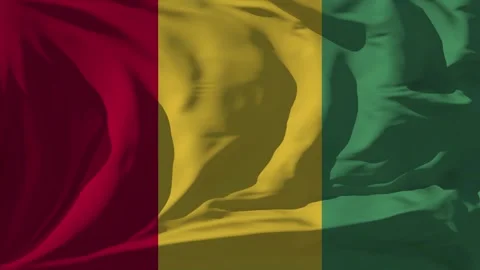Guinea Flag Loop Stock Footage 295722598