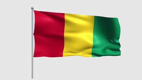 Guinea Flag - Pack 2 Stock Footage 339806136