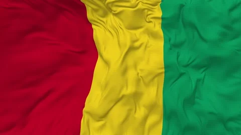 Guinea Flag Seamless Looping Background Waving Slow Motion Stock Footage 233818337