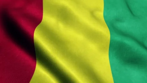Guinea Flag - Seamless Looping Stock Footage 221452249
