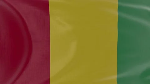 Guinea flag in slow motion animation waving in the wind realistic Stock Footage 142987280