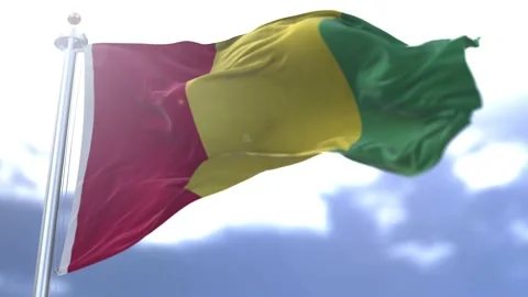 Guinea flag waving against the sky Stock Footage 170239323