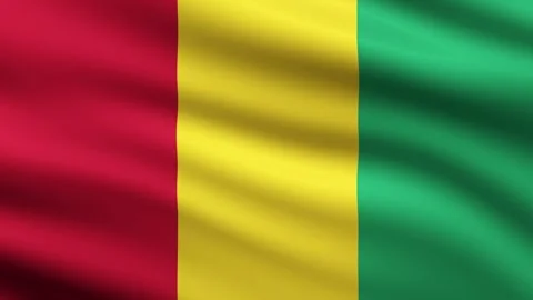 Guinea Flag Waving Animation Background Animated Flag Of Guinea flaying in wind Stock Footage 273749516