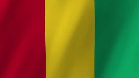 Guinea flag waving animation Vídeo Stock 220388505