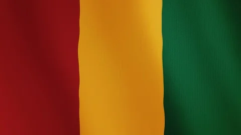 Guinea flag waving animation. Full Screen. Symbol of the country. Stock Footage 89553253