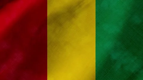 Guinea flag waving background with real fabric texture Stock-Footage 291915669