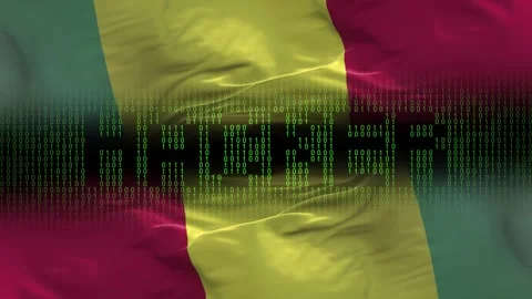 Guinea flag - Waving flag on matrix binary code background Stock Footage 321420049