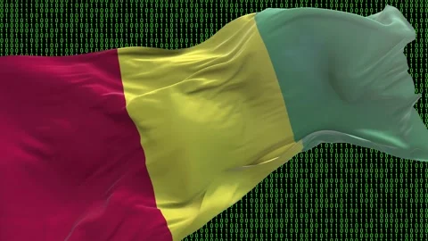 Guinea flag - Waving flag on matrix binary code background Stock Footage 321421224