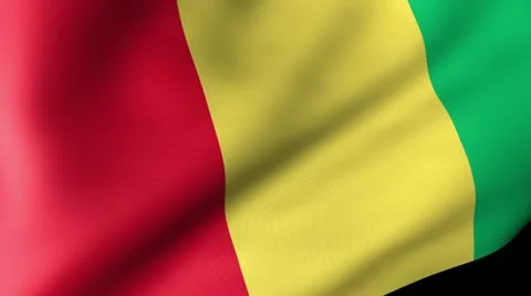 Guinea Flag Waving Stock Footage 12206045