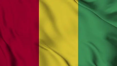 Guinea flag Waving Stock Footage 294134343