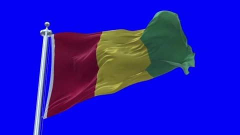 Guinea Flag Waving in Loopable and Textured green screen background Stock Footage 296876731