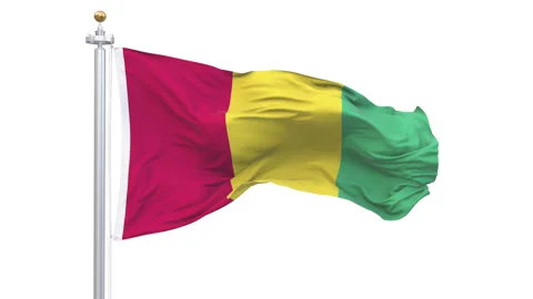 Guinea flag waving looping with transparent background. Stock Footage 315107739