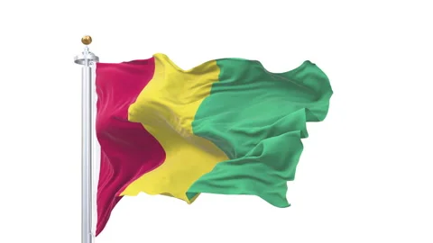 Guinea flag waving looping with transparent background. 動画素材 315107750