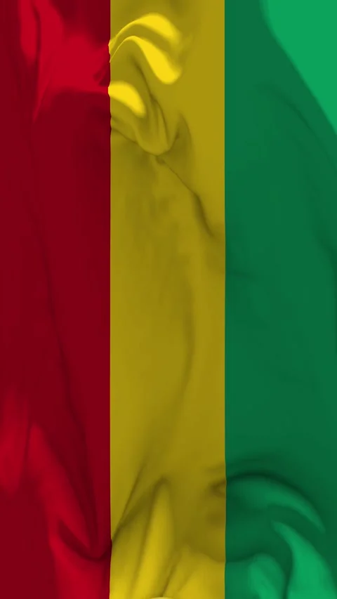 Guinea Flag Waving in Slow Motion Loop Animation, Vertical Format Stock Footage 337819724