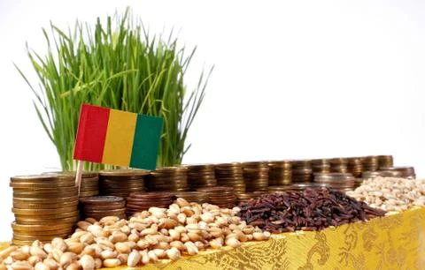 Guinea flag waving with stack of money coins and piles of wheat and rice seed Stock Photos