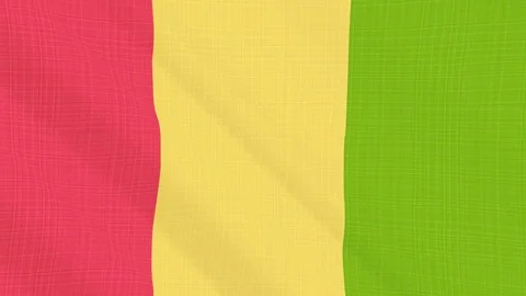 Guinea flag waving in the wind. Background with rough textile texture. Animation Stock Footage 83852426