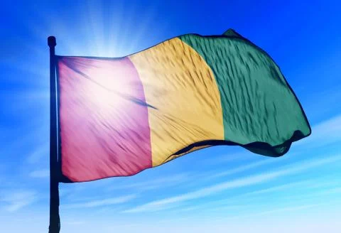 Guinea flag waving on the wind Stock Illustration