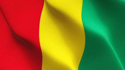 Guinea flag waving on wind. Stock Illustration