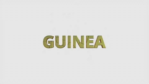 GUINEA Stock Footage 307981491