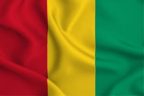 Guinea Stock Illustration