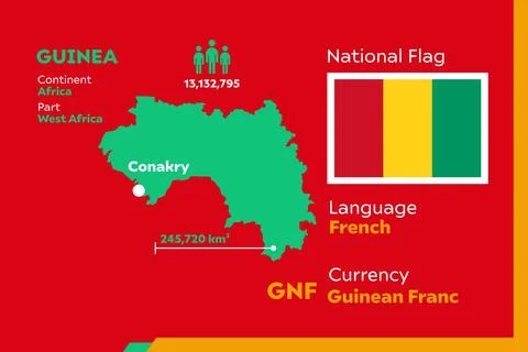 Guinea Infographic Illustrazione stock