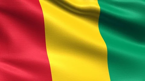Guinea Looping Flag 4K, Seamless looping with highly detailed fabric texture Stock Footage 106509598