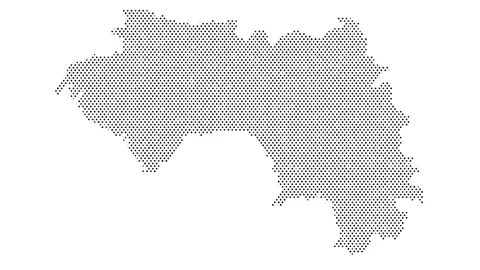 Guinea map from particles, dots. Digital silhouette. Abstract animation bac.. Stock Footage 315139774